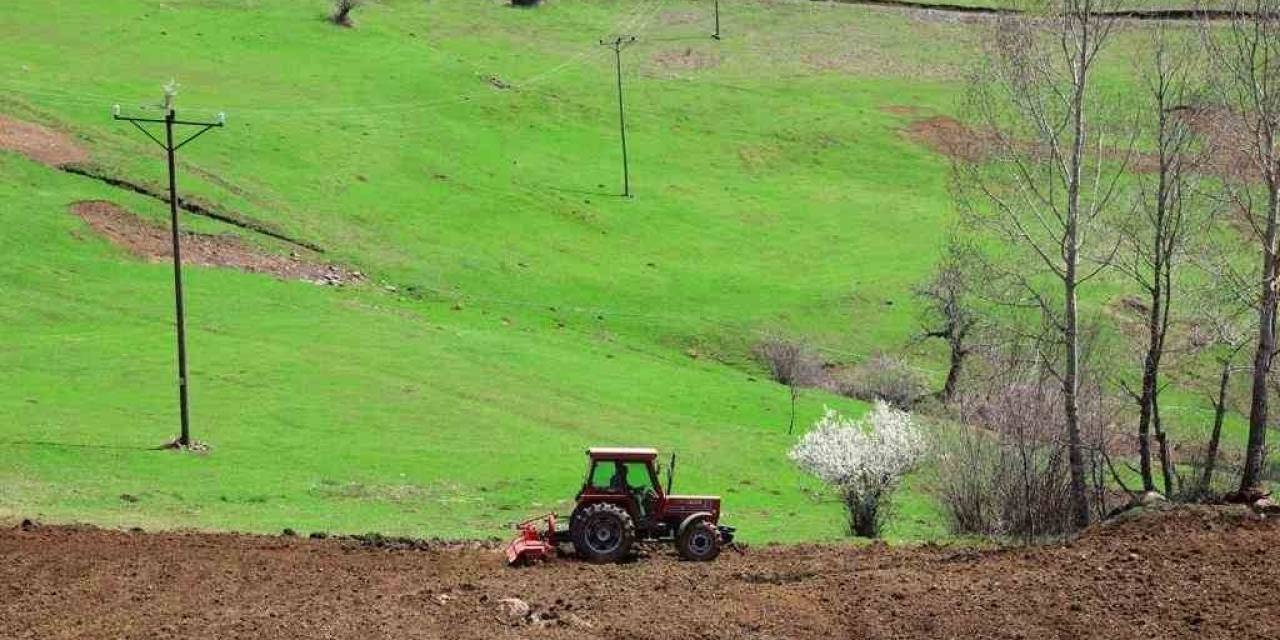 Ordu’da Atıl Araziler Tarımla Buluşuyor