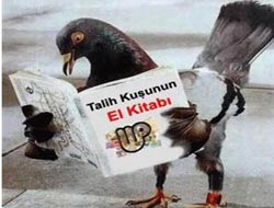 Talih kuşu uçuşa geçiyor