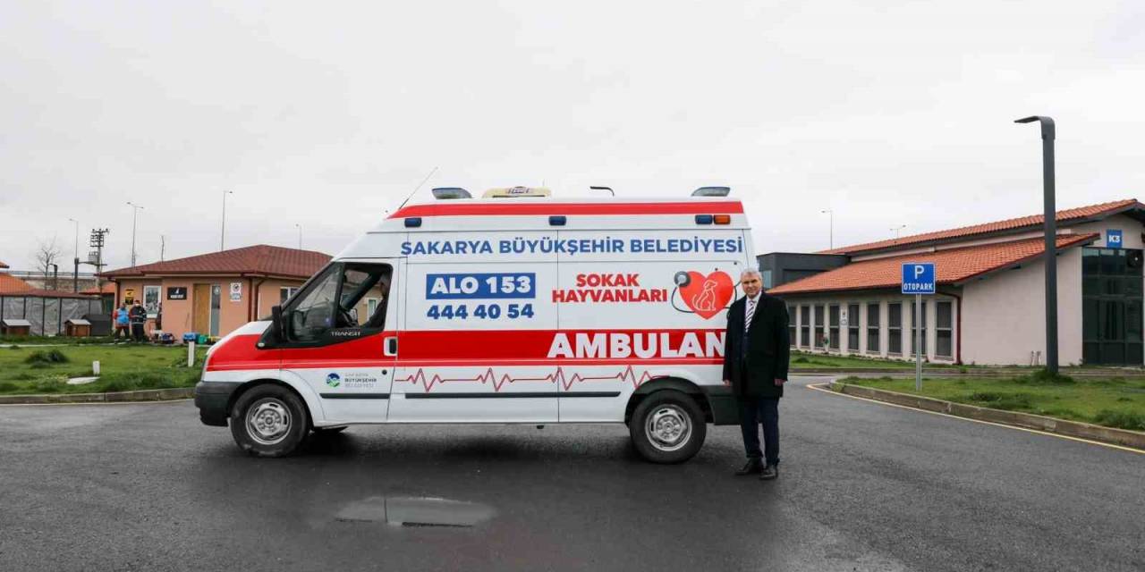 Can Dostlar İçin Yeni Hizmet: Sokak Hayvanları Ambulansı