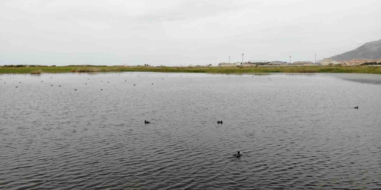 Türkiye’nin En Uzun Kumsalına Ve Kuş Cennetine Ev Sahipliği Yapan Samandağ’a Binaların Molozları Dökülüyor
