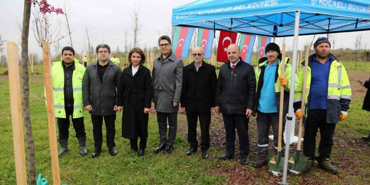 Azerbaycan Ve Türkiye Kardeşliği Ormanına Haydar Aliyev’in Anısına 100 Fidan