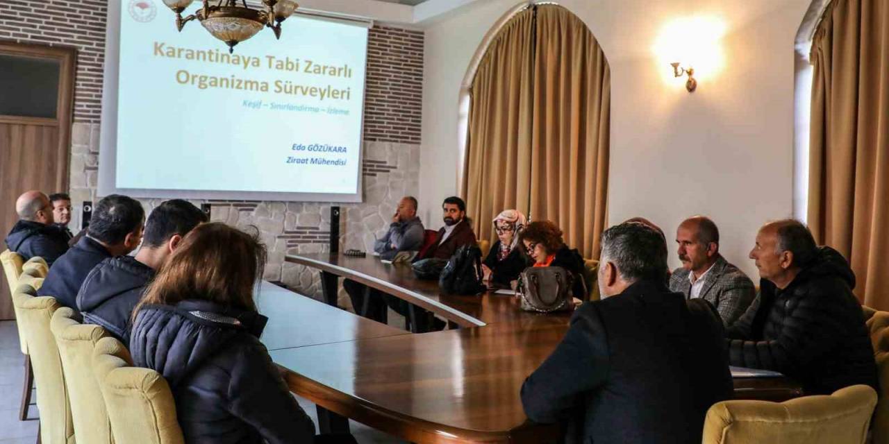 “karantinaya Tabi Zararlı Organizma Sürvey Çalışmaları” Toplantısı Düzenlendi