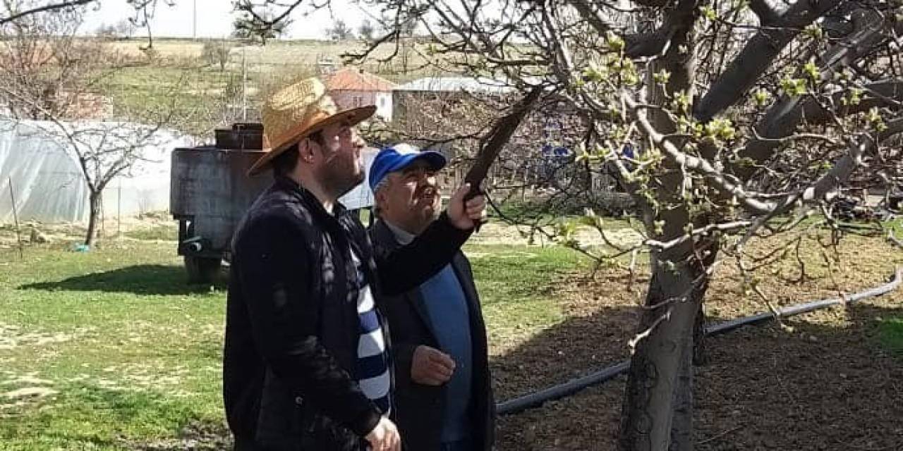 Dazkırı Ve Kızılören’de Ağaçlarda Zararlı Kontrolleri Ve Budama Eğitimi Yapıldı