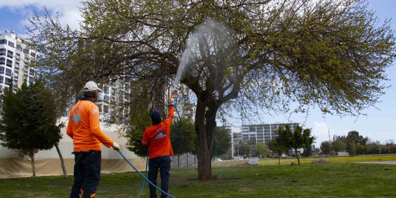 Mersin’de Haşere İle Mücadale Çalışmaları Hız Kazandı