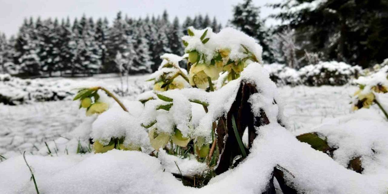 Abant’ta Nisan Ayında Kar Güzelliği