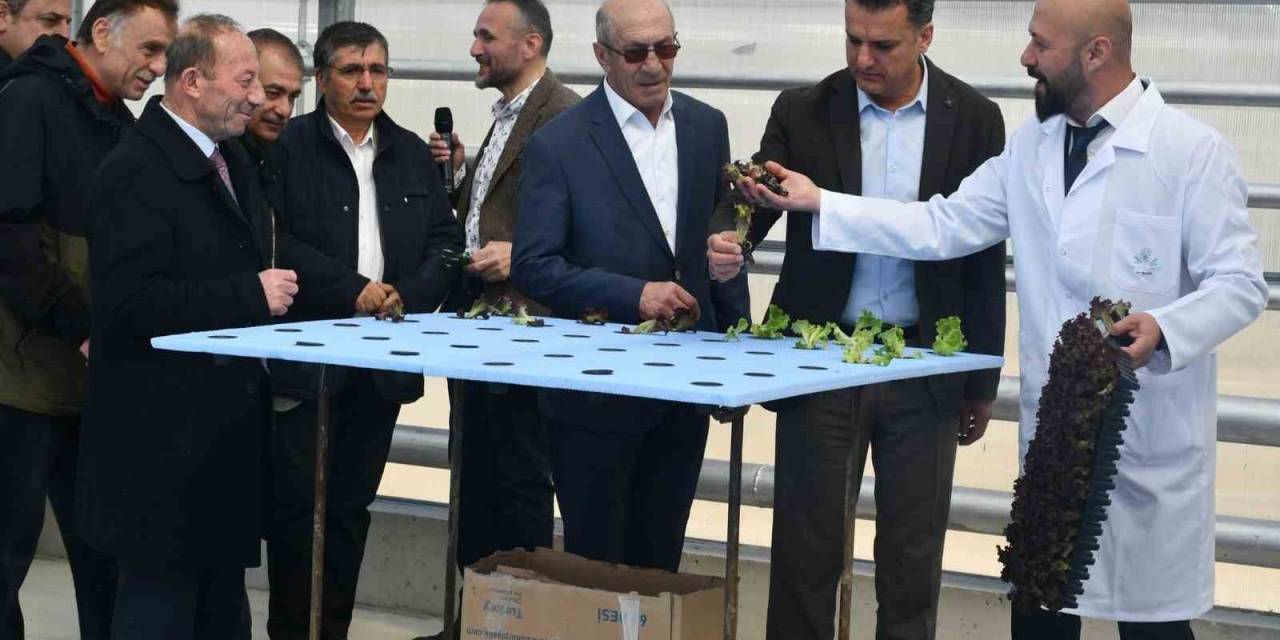 Haymana’da Kurulan Sera ‘da Yapılacak Olan Topraksız Üretim Bir Çok İlki İçerisinde Barındırıyor