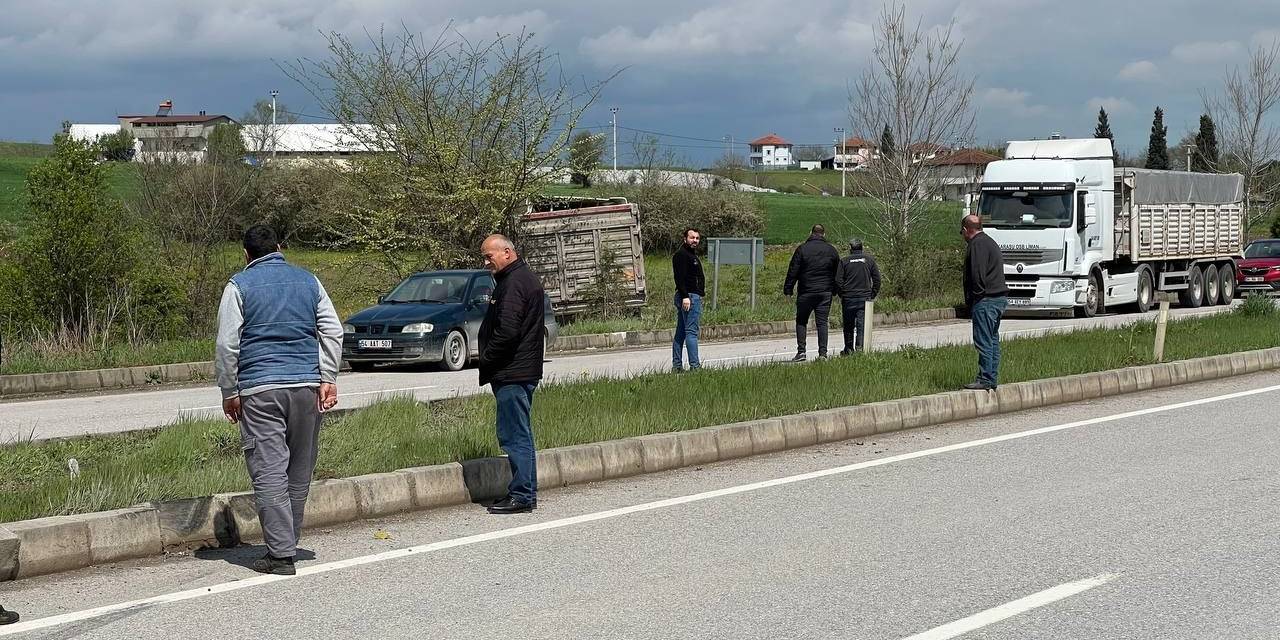 Köpeğe Çarpmamak İçin Manevra Yaptı, Kazadan Kaçamadı: 1 Hafif Yaralı