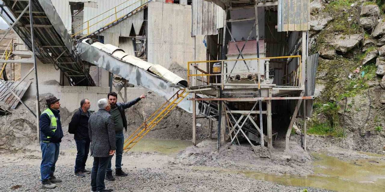 Bu Yıl Ki Hedef 450 Bin Ton