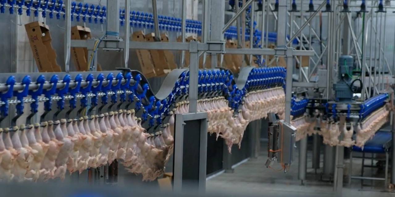 Perakende Satış Hacmi Yıllık Yüzde 21,5 Arttı