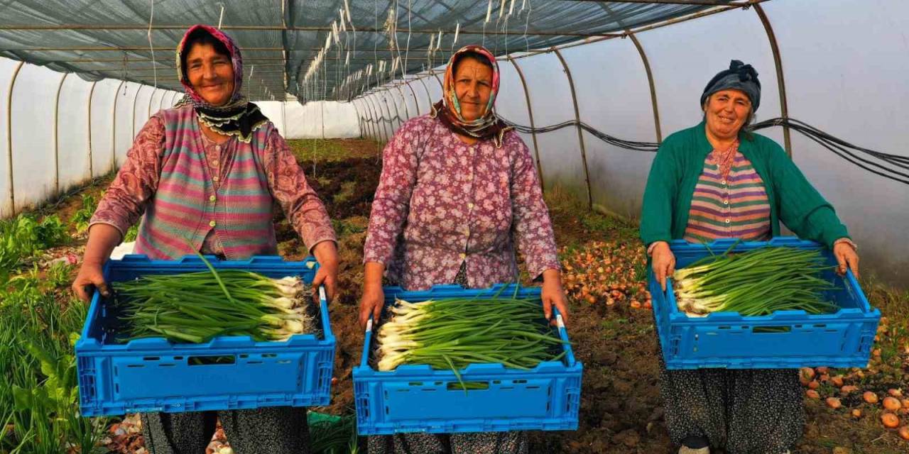 Bu Seralar Bir Başka