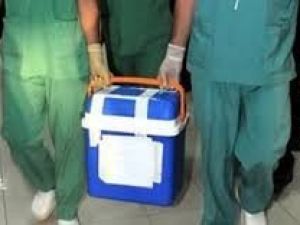 Hayatını Kaybeden Küçük Çocuk Birçok Kişiye Can Verdi