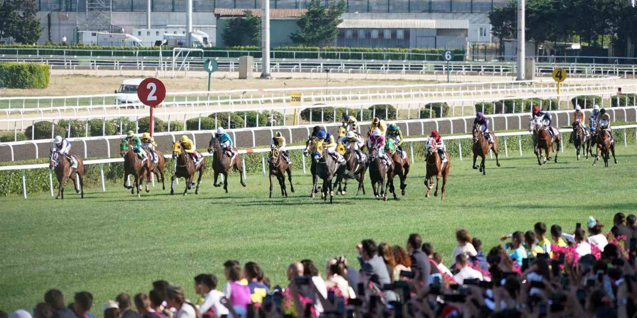Safkanlar Piste Çıkıyor, Yarış Sezonu Başlıyor