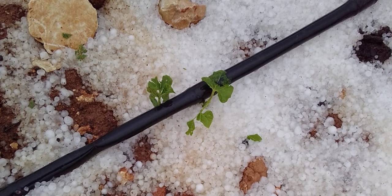 Mersin’de Dolu Yağışı Etkili Oldu