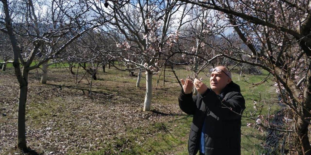 Beyşehir’de Ekili Alanlar Ve Meyve Bahçelerinde Hastalık Taraması