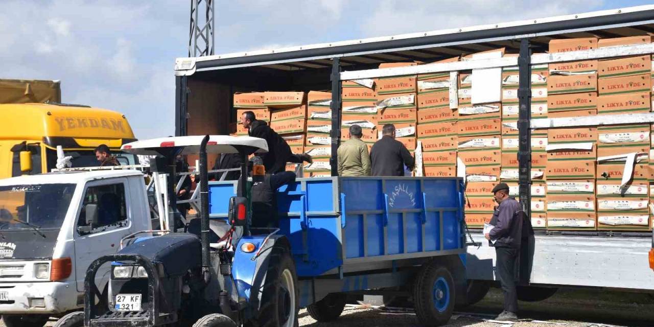 Çiftçilere  Verilen Fide Desteği 33 Milyonu Buldu