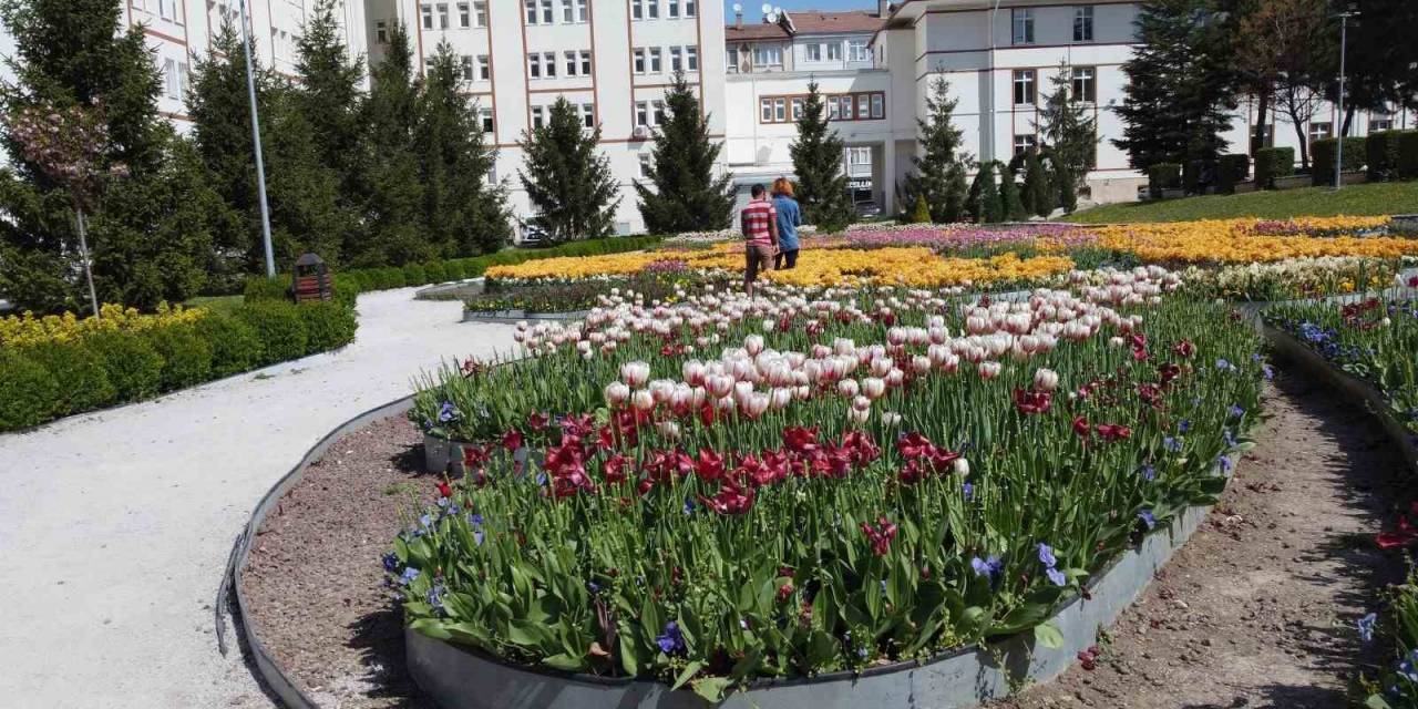 Çorum Belediyesi’nde Yoğun Bahar Mesaisi