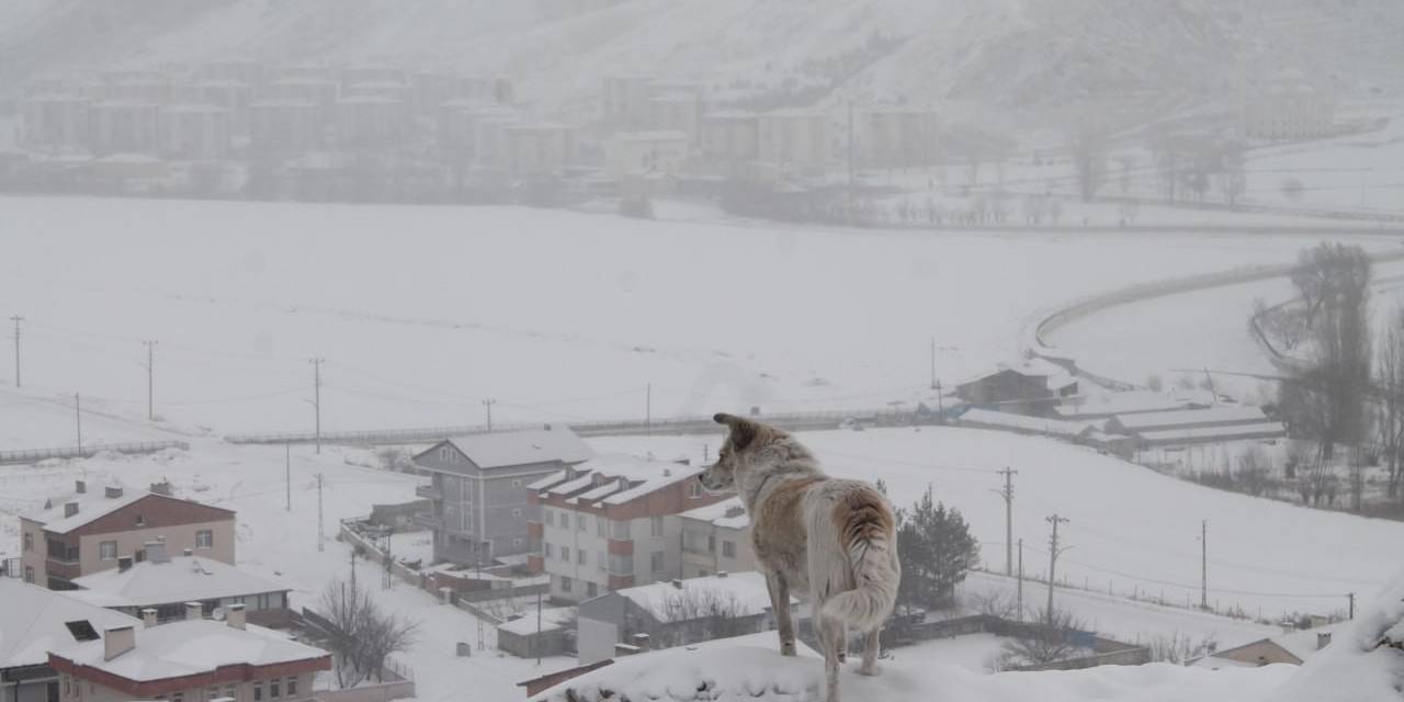 Bayburt’un Yüksek Kesimlerinde Kar Yağışı