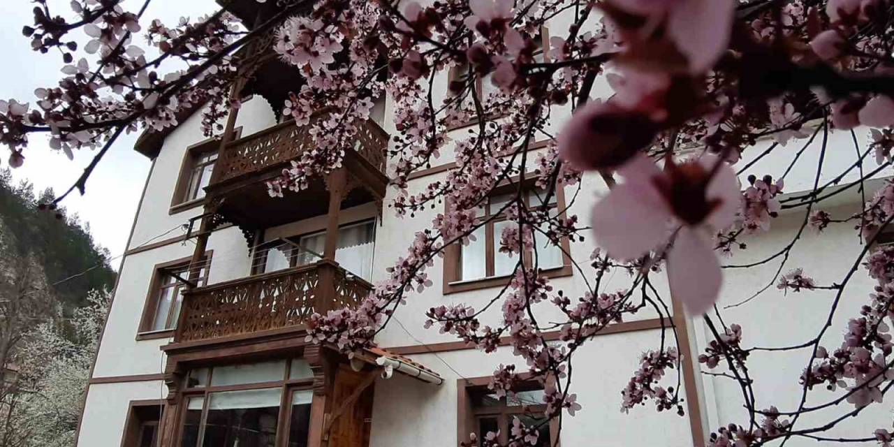 Osmanlı Kasabasında Bahar Güzelliği
