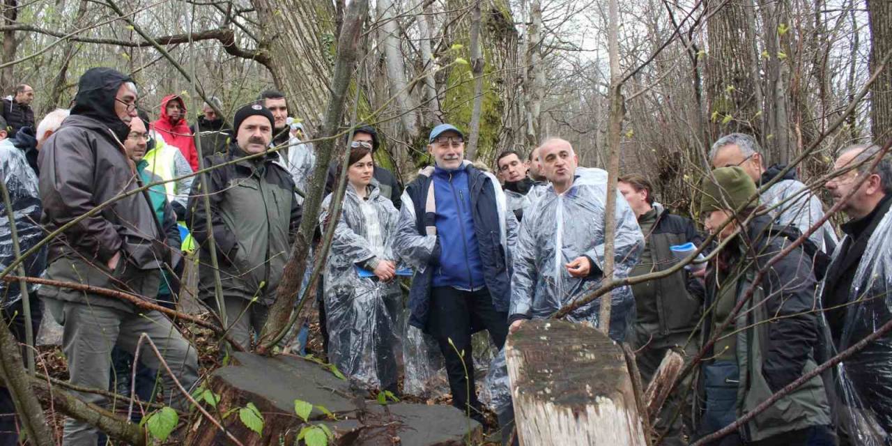 2 İldeki Ormanlar Kestane Ve Kestane Balı Üretiminin Merkezi Olacak