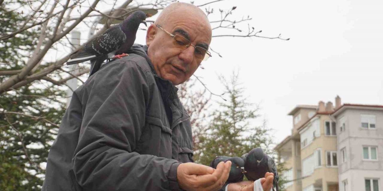 Her Gün Aynı Saatte Gelerek Güvercinleri Elleriyle Besliyor