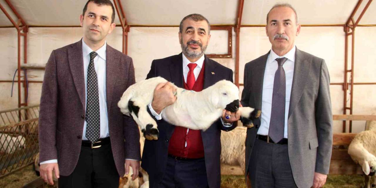 Bilimsel Çalışmalar İçin Kurulmuştu, Elde Edilen Gelir Burs Olarak Verilecek