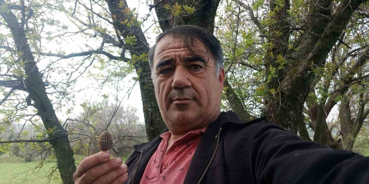 Fiyatı 700 Lirayı Bulan Kuzugöbeği Gelir Kapısı Oldu