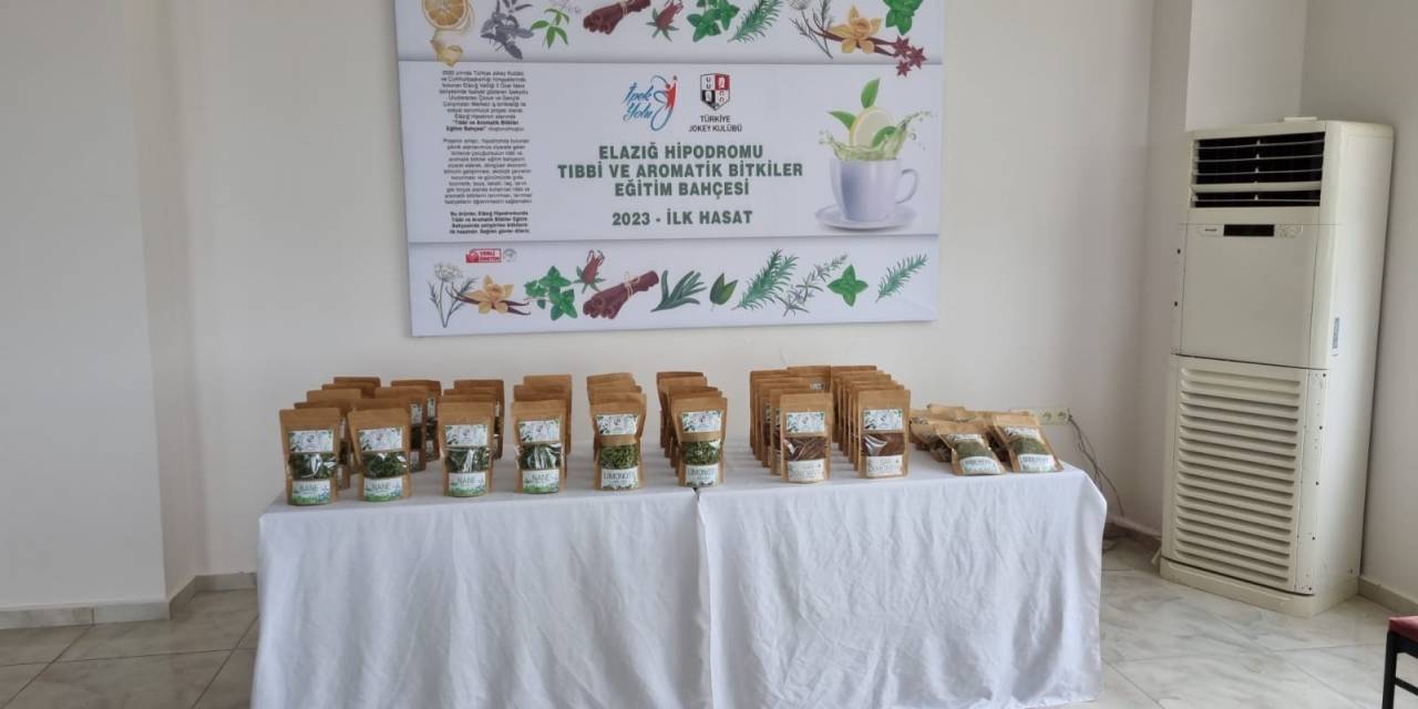 Elazığ Hipodromu’nda Tıbbi Aromatik Bitki Üretiminden İlk Hasat Yapıldı