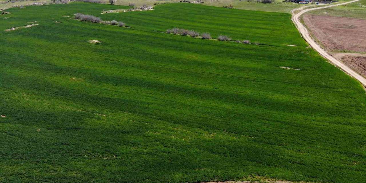 Trakyalı Çiftçi Korkulu Rüyadan Uyandı