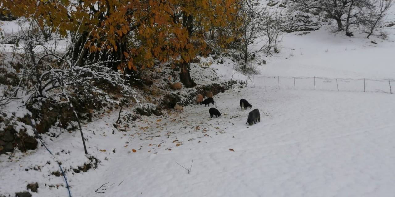 Batman’da Nisan Ortasında Etkili Olan Kar, Köyleri Beyaza Bürüdü