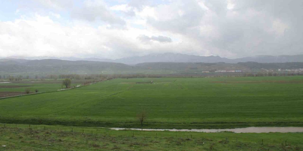 Bingöl’de Sağanak Yağış Sonrası Tarım Arazileri İncelendi