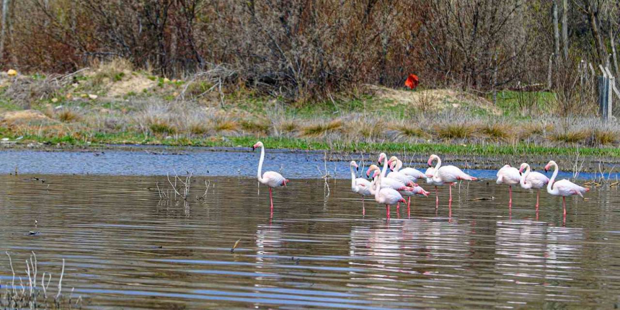 Akkaya Barajı Eski Günlerine Döndü
