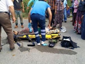 Sakarya’da Mevsimlik Fındık İşçilerini Taşıyan Traktör Devrildi: 3 Yaralı