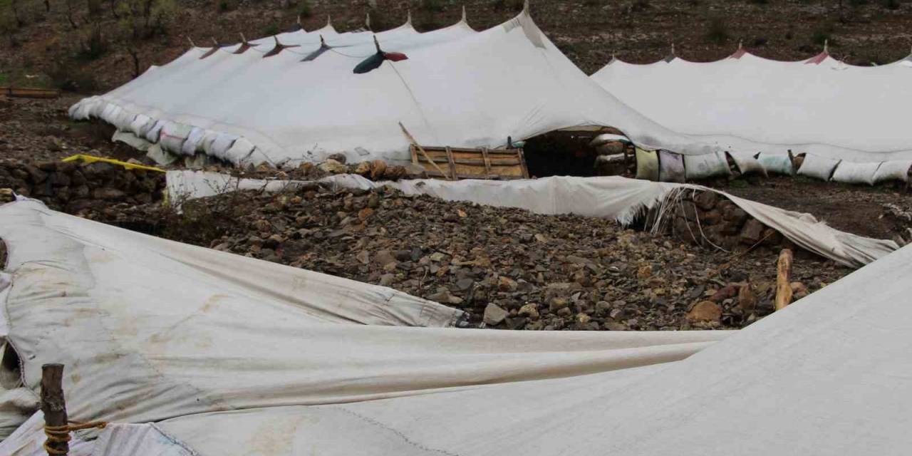 Şırnak’ta Sel 205 Hayvanı Telef Etti