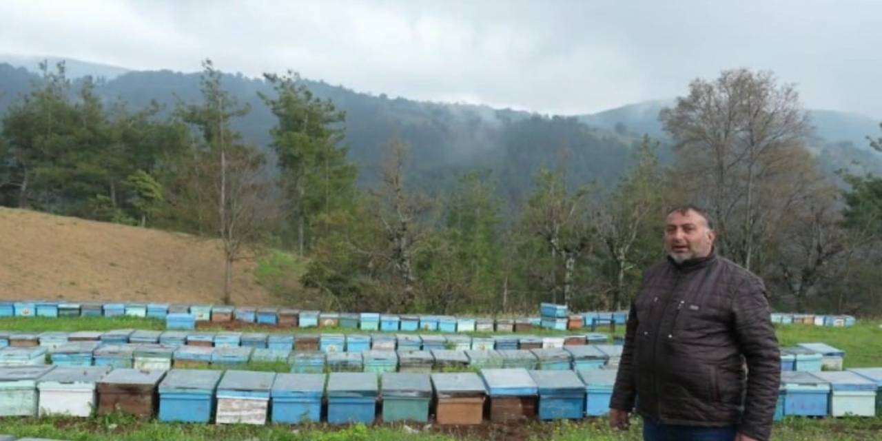 Devletten 30 Kovan Arı Aldı, 230 Kovana Çıkardı