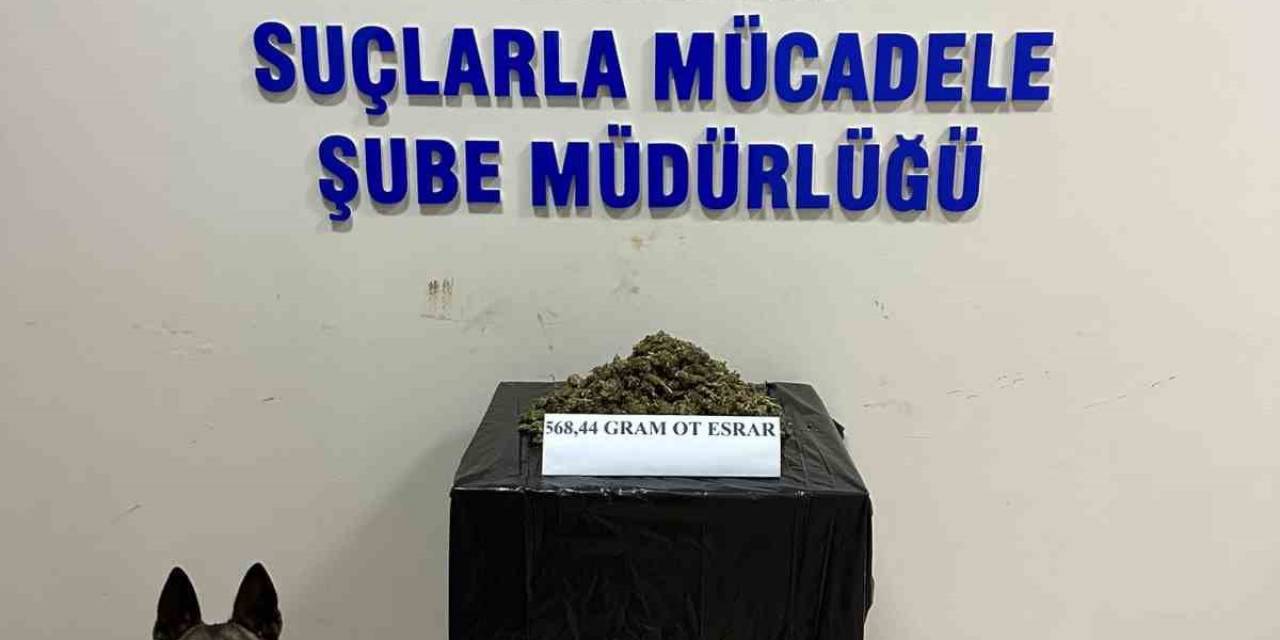 Bingöl’de Uyuşturucu Operasyonu