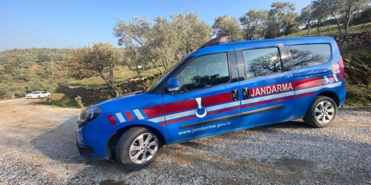 160 Litre Zeytinyağı Çaldı, Yakalandı