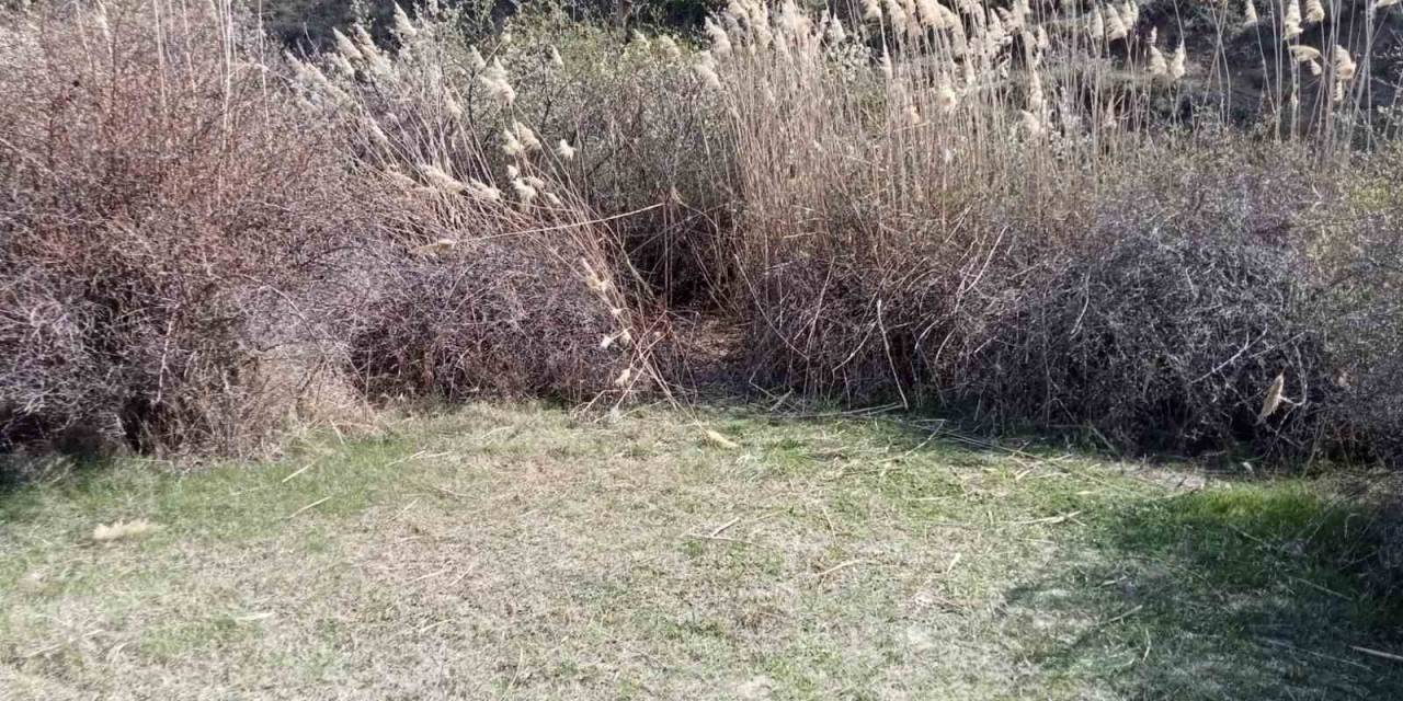 Ankara’da Kafası Koparılmış 45 Günlük Ceset Bulundu