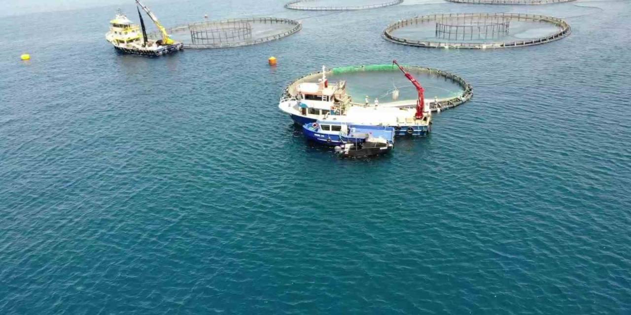 Su Ürünleri İhracatından 1,7 Milyar Dolar Gelir Elde Edildi