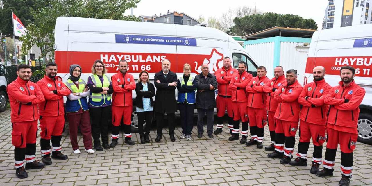 Alo Acil Haybulans...