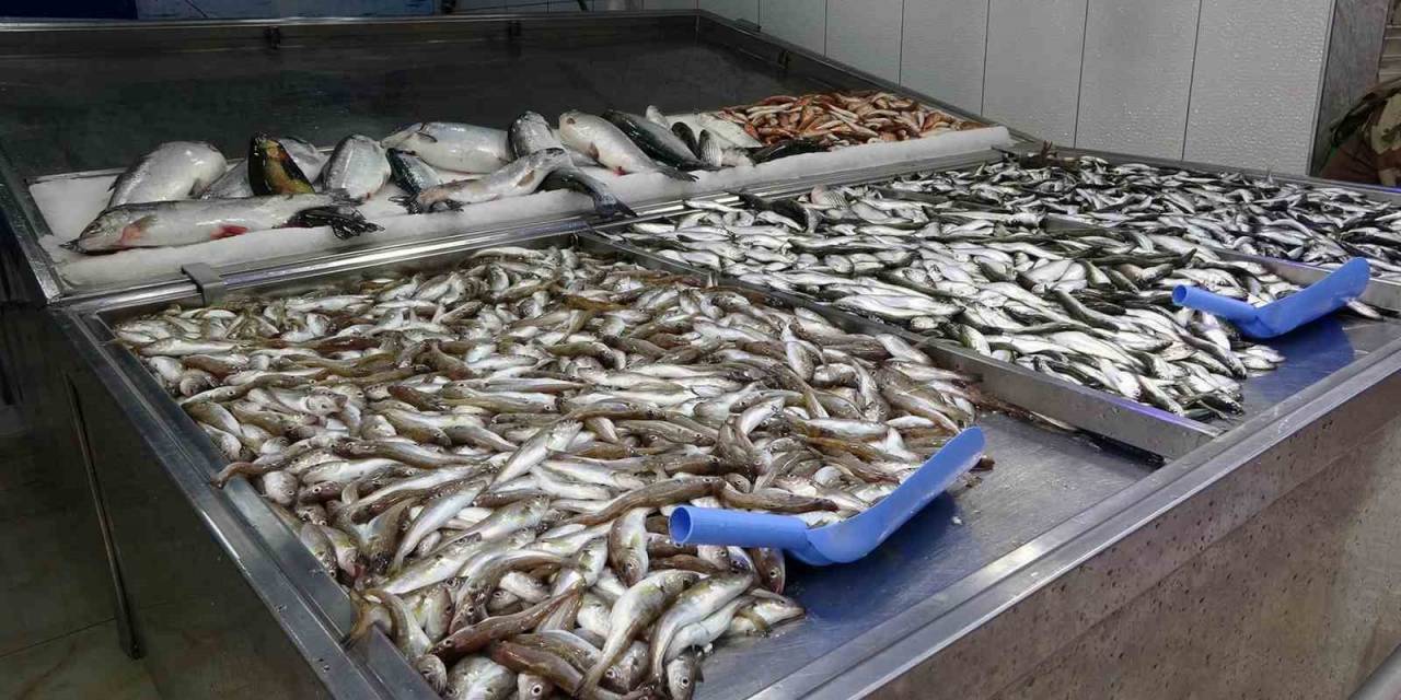 Denizlerde Endüstriyel Av Yasağı Başladı