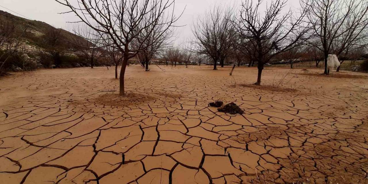 Tut’da Meyve Bahçeleri Çamur Ve Taşlarla Kaplandı