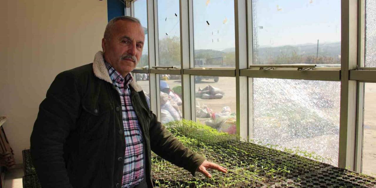 Dedesinden Kalma Altın Değerindeki Ata Tohumlarını Gelecek Nesillere Aktarıyor