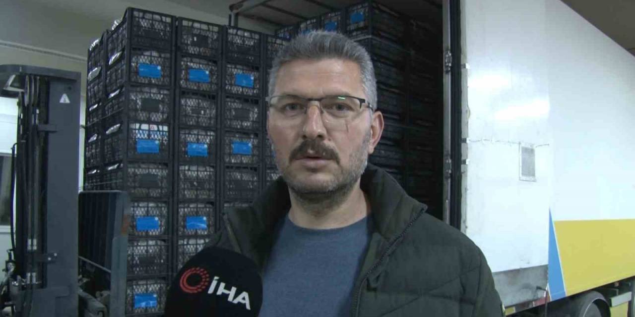 Kapadokya Çileği Ekonomiye 700 Bin Dolar Katkı Sağlıyor