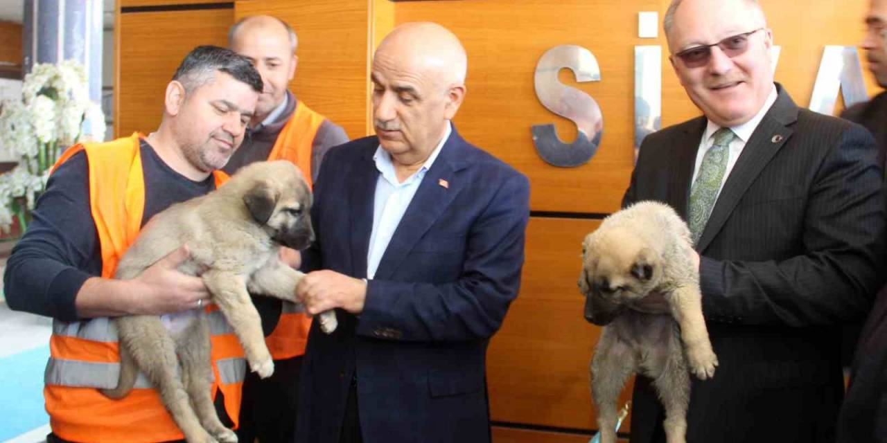 Bakan Kirişci: “sivas’ımızı Tarımsal Üretimde İlk Sıraya Yerleştireceğiz”