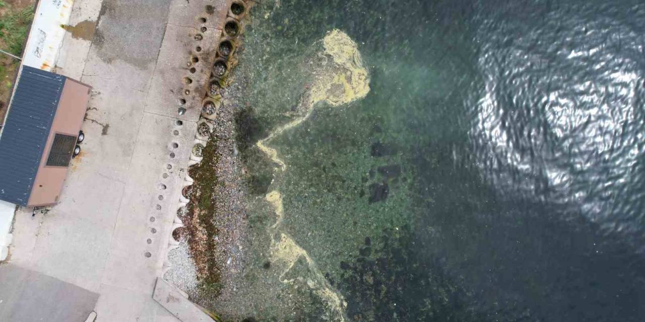 Kadıköy’de Müsilajı Andıran Görüntü