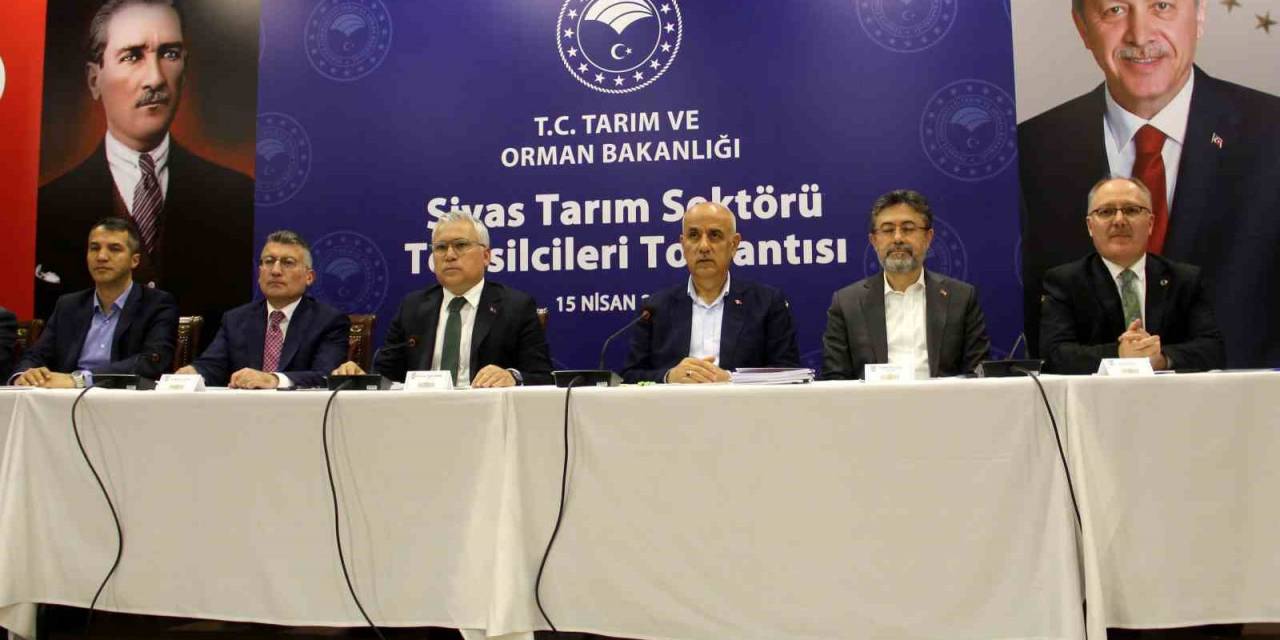 Bakan Kirişci: “dünya Barışı Açısından Kritik Öneme Haiz Bir Ülke Haline Geldik”