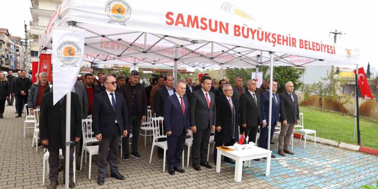 Samsun’da Çiftçilere Silajlık Mısır Desteği