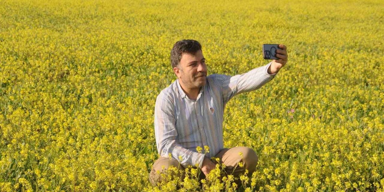 Cizre’de Geç Gelen İlkbaharla Doğa Renk Cümbüşüne Döndü