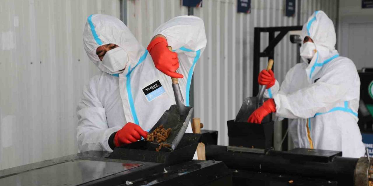 Adana’da Artık Yemekler, Sokak Hayvanları İçin Mamaya Dönüştü