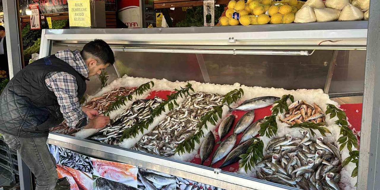 Avlanma Yasağı Başladı Ama Tezgahlardaki Çeşitlilik Bitmeyecek